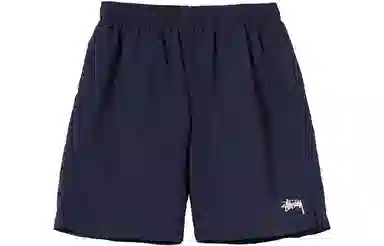 Stussy Logo Nylon Shorts