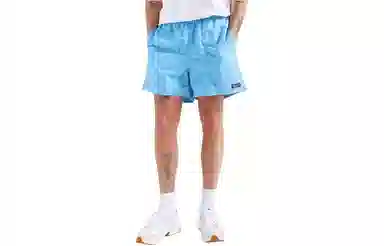 Patagonia Classic Logo Shorts