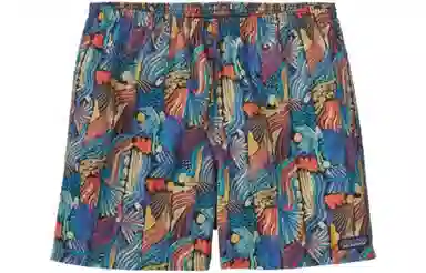 Patagonia Classic Logo Shorts