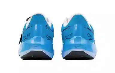 Nike Air Zoom Pegasus 39