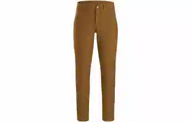 Arcteryx Levon winterwight