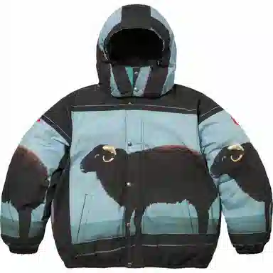 Supreme x Damien Hirst Down Puffer Jacket
