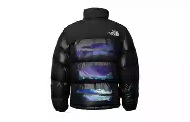 THE NORTH FACE Nuptse 811