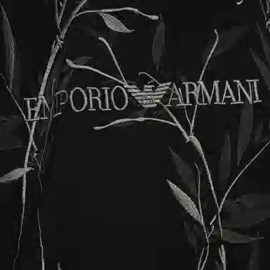 EMPORIO ARMANI T