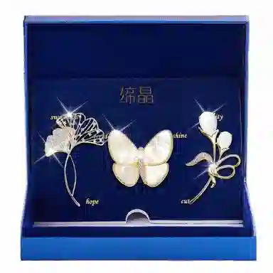 缔晶 轻奢时尚精致闪耀 优雅气质日常通勤百搭衣服防走光 合金 胸针 女款