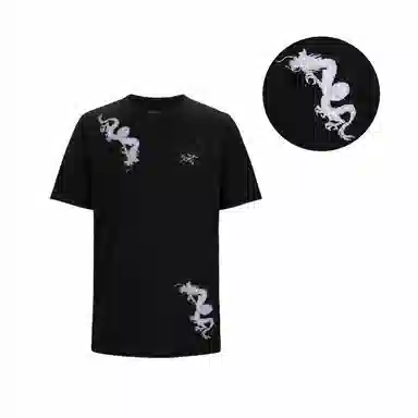 Arcteryx KRAGG T black