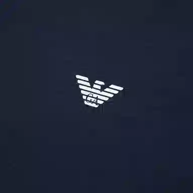 EMPORIO ARMANI SS24 LogoT