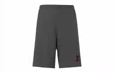 Champion Shorts