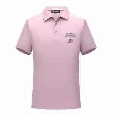 Automobili Lamborghini Polo