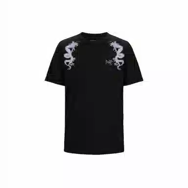 Arcteryx KRAGG logoT