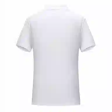 Automobili Lamborghini Polo