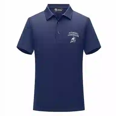 Automobili Lamborghini Polo