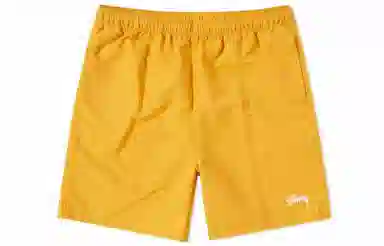 Stussy Stock Water Short Logo