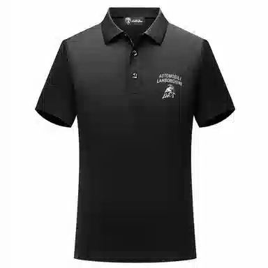 Automobili Lamborghini Polo