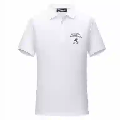 Automobili Lamborghini Polo