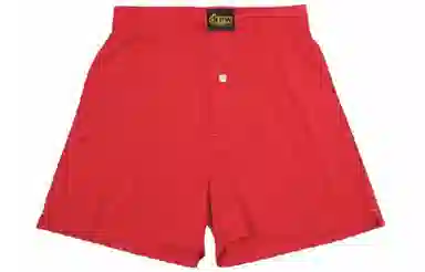 Drew House SS21 logo Boxers