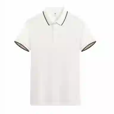 33TH Polo