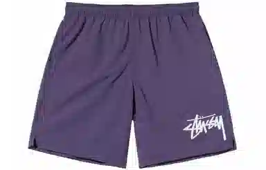 Stussy Logo Shorts