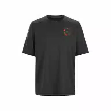 Arcteryx LogoT Charcoal grey