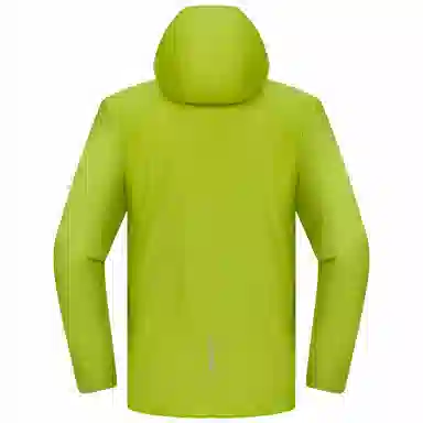 PELLIOT P