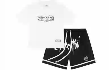 VEIDOORN T