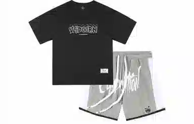 VEIDOORN T