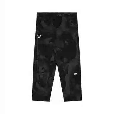 Aape