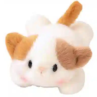 20cm25cm