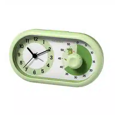 TIMESS