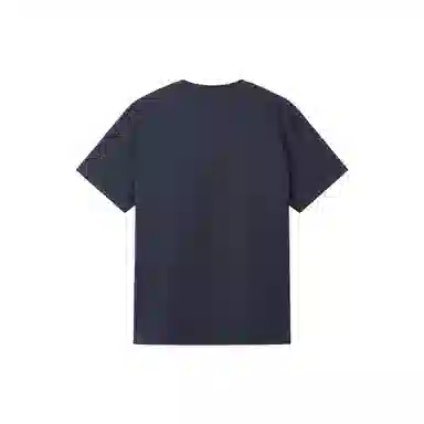 AIGLE T