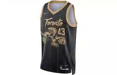 Nike NBA Toronto Raptors Siakam 43 Jersey Black
