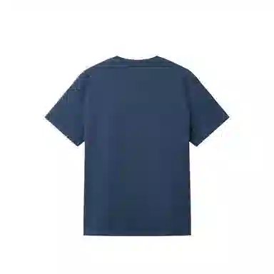 AIGLE T