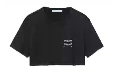 Alexander Wang Logo Cropped T-Shirt Black