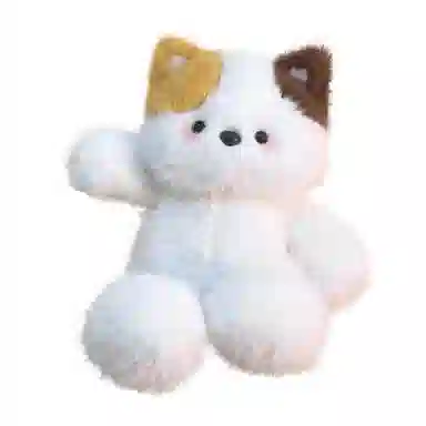 50cm