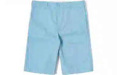 Dickies SS23 Logo Shorts