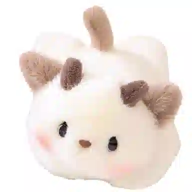 20cm25cm
