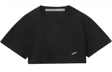alexander wang T