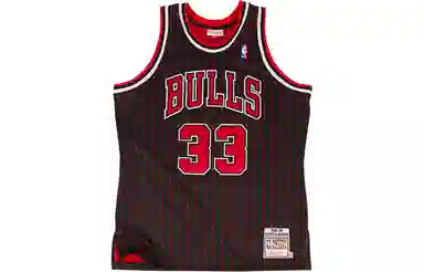 Mitchell Ness NBA AU 95-96 33
