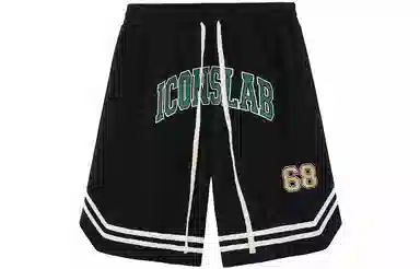 ICONS Lab