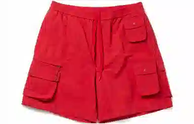 DAIWA PIER39 Tech Hiker Mountain Shorts