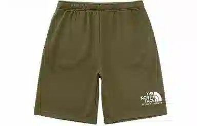 THE NORTH FACE SS22 logo