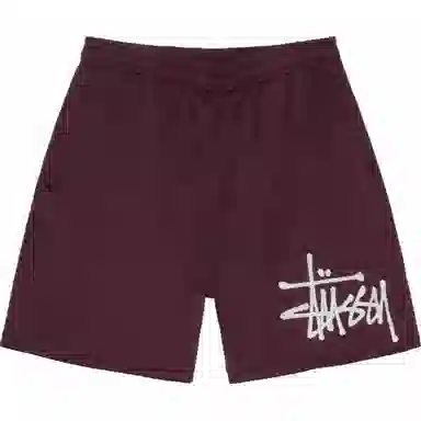 Stussy Big Basic Mesh Short