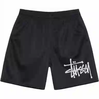 Stussy Big Basic Mesh Short