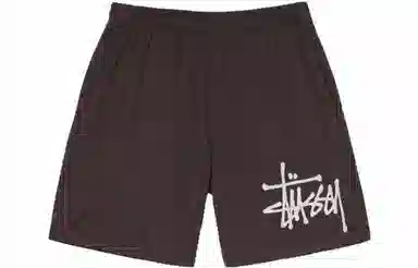 Stussy Big Basic Mesh Short