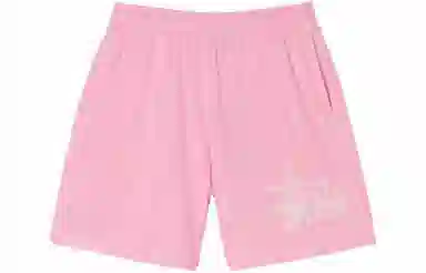 Stussy Big Basic Mesh Short