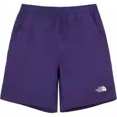 THE NORTH FACE DAILY ESSENTIAL SHORTS