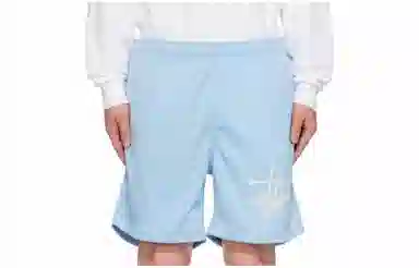 Stussy Big Basic Mesh Short