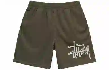 Stussy Big Basic Mesh Short
