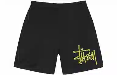 Stussy Big Basic Mesh Short