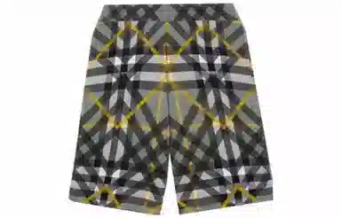 Burberry Shorts Grey